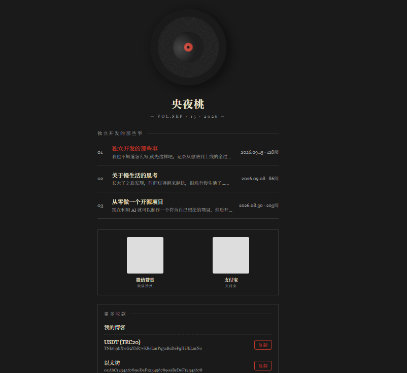 黑胶 演示图